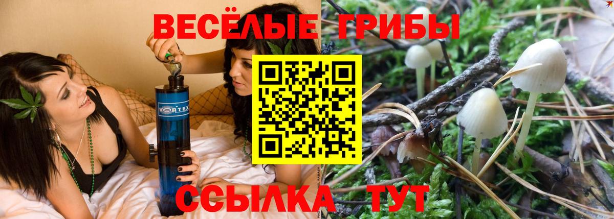Коломна  Псилоцибиновые грибы MAGIC MUSHROOMS  Вход с VPN 